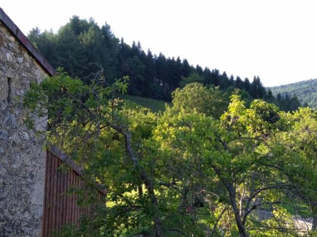 Вилла La Caminada Fougax-et-Barrineuf Экстерьер фото